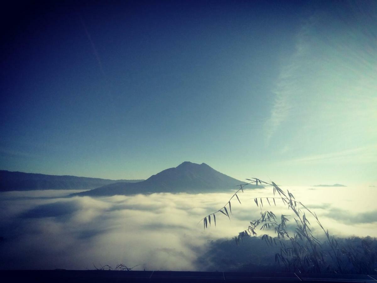 Batur View Homestay Kintamani Eksteriør billede